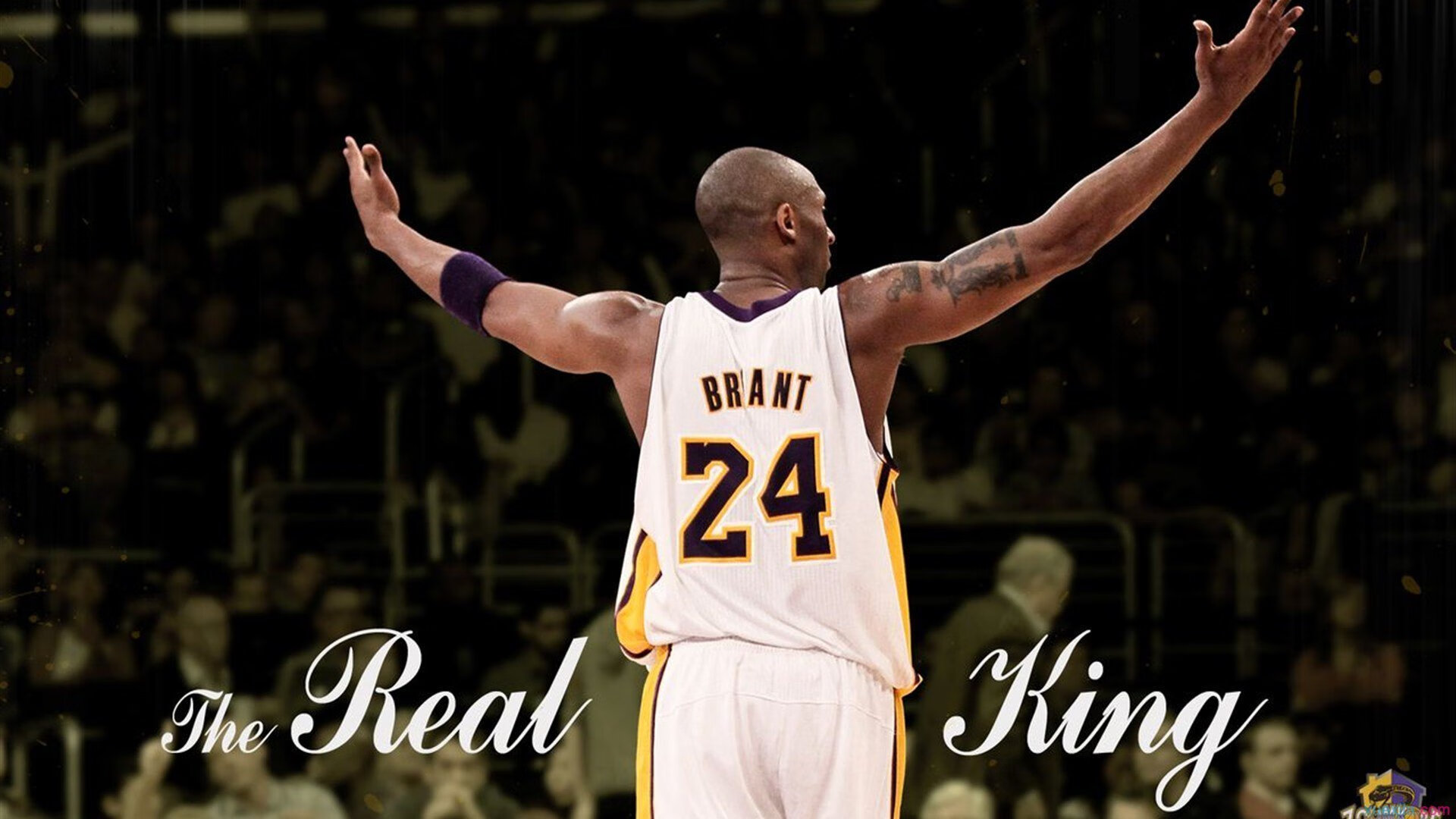 网球新星球员崛起观察